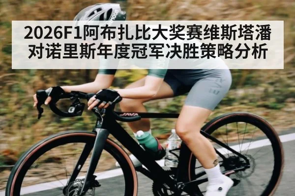 2026F1阿布扎比大奖赛维斯塔潘对诺里斯年度冠军决胜策略分析